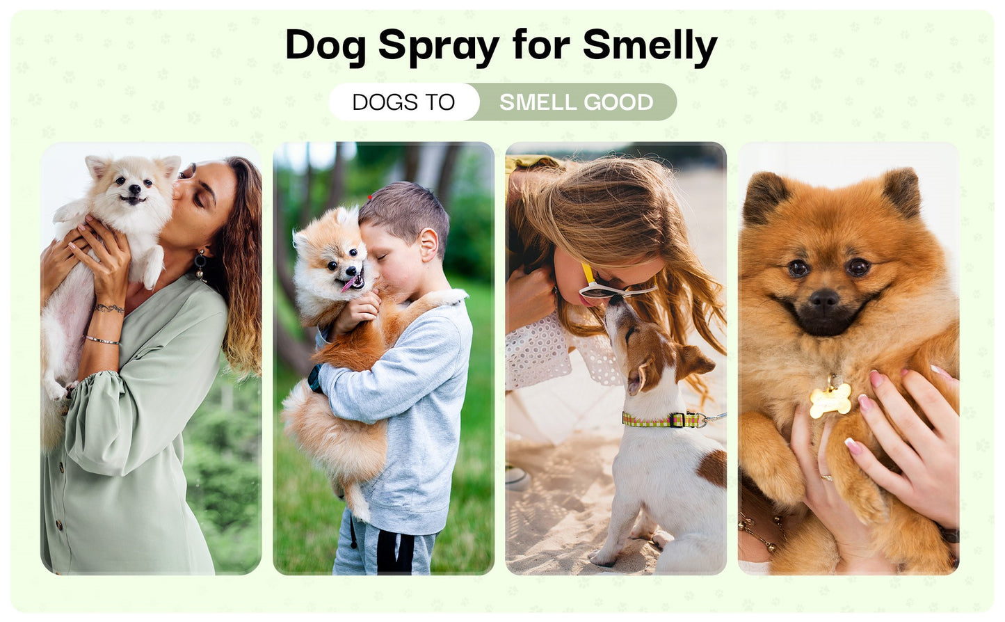 Show Dog Premium Grooming Spray (2oz - 3 Pack)